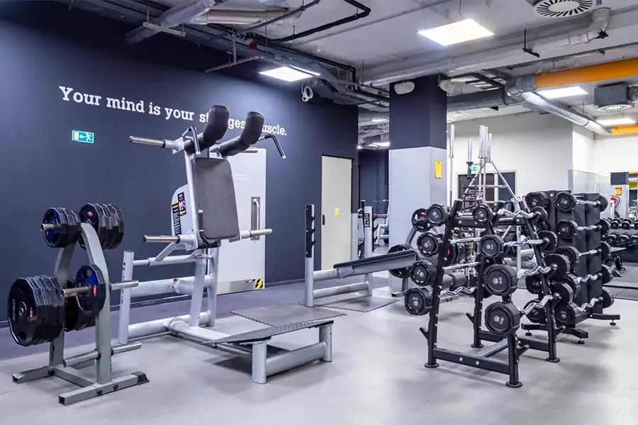 State-Of-The-Art Sky Gym – Pioneer The View