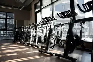 Gymnasium – The Rainbow Life