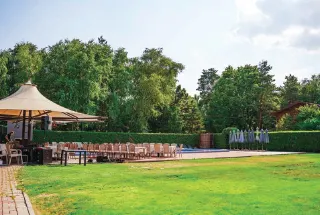 Party Lawn – Sai Codename Green Gold