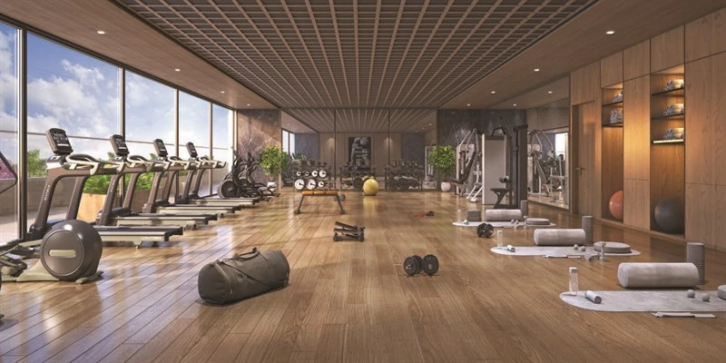 Equipped Gymnasium